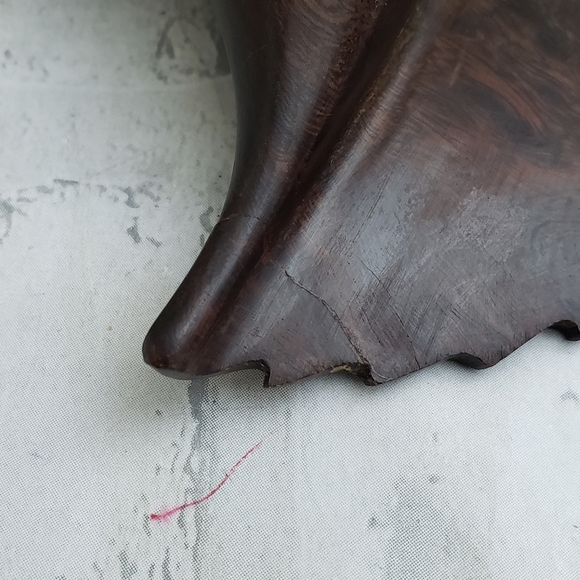 Carved Indian Ironwood Conch Shell Handmade Sculpture - Picture 11 of 11